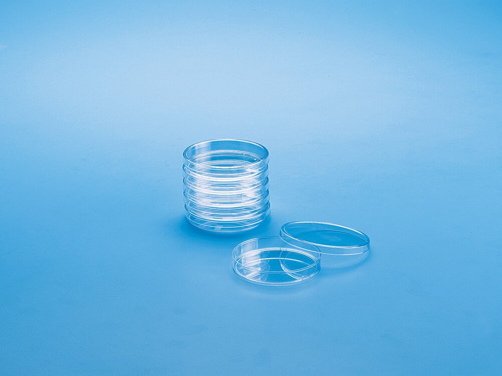 Petridish Model - 460140